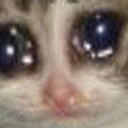 bigeyesmakebigcrys