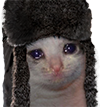 eft_catshanka