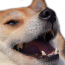 Dogekek