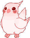 dancebirb