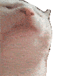 bop