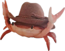 crab_yeehaw