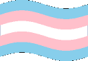 trans_flag
