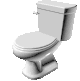 Toilet_Spin