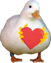 duckie_loves_u
