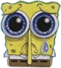 spongesad
