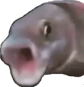 PogFish